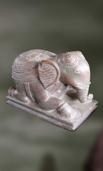 Kapi: The Elephant-Cardholder