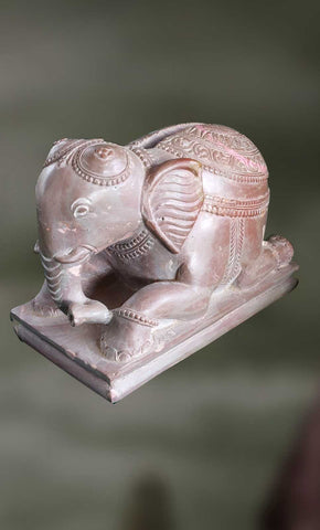 Kapi: The Elephant-Cardholder