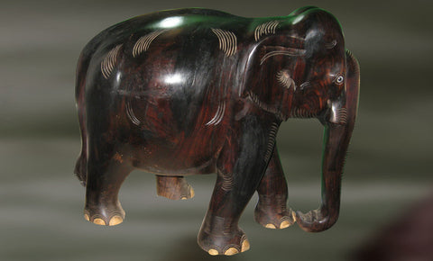 Dvirada:Elephant