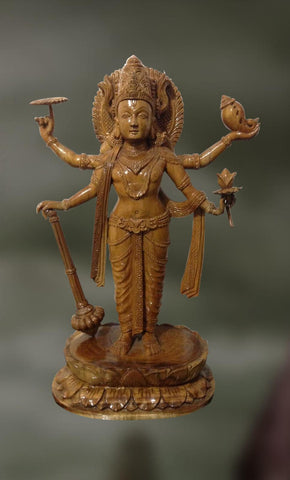 Loknath: Lord Naryana, The Lord of the World