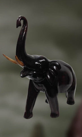 Matanga: The Elephant