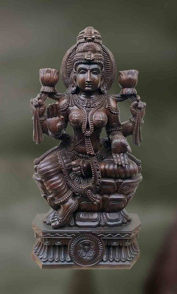 Suchi: The Purest  One