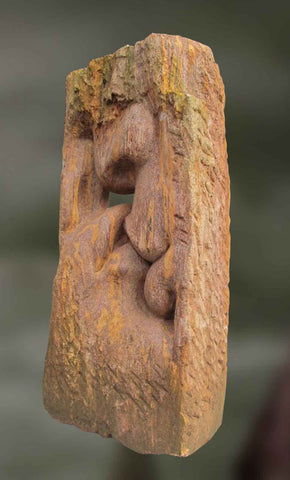 Kamechhaa: The Sexual Attraction