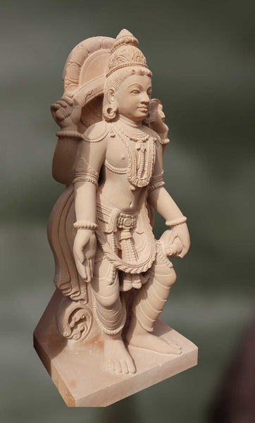 Narayani: The Exposer of Conciousness