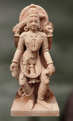 Narayani: The Exposer of Conciousness