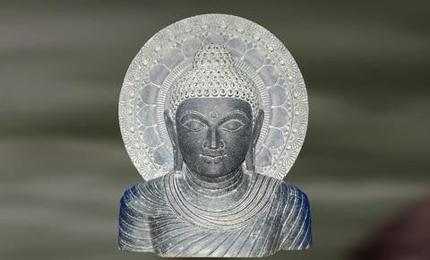 Avikalpa: The Vibrant Face