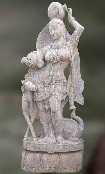 Vanita: The Rustic Beauty